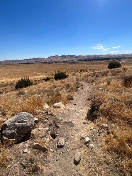 Wide open desert views about halfway through the NICA trail on the southeast corner of trail network.