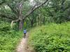 Seven year old riding Green Line among the mature oaks.