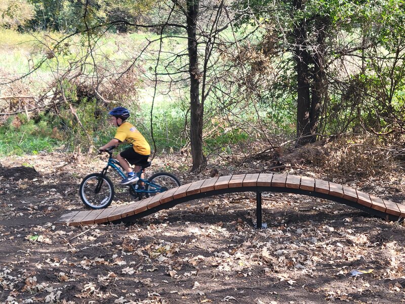 One of several features at the "skills area" to the north end directly off the paved Jordan Creek Trail.