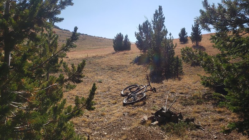 There is a rock cairn where the Elkhorn Peak Trail exits the trees, and the trail is not very clear across the grassy meadow.