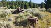 Old rusted relics of a bygone era adorn the side of the road on the way into and out of the town of Elkhorn.