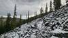 One of the chunkier sections of the Casey Peak Trail, covered in a little slow for some extra spice!