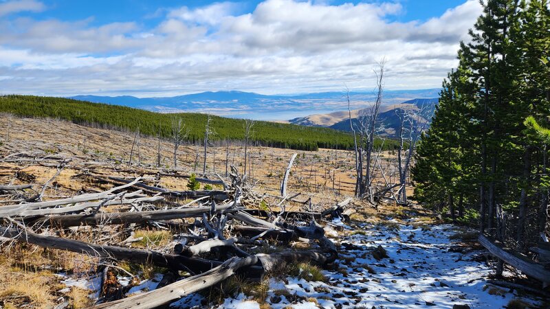 The Pole Creek Trail starts at the edge of a large burn zone that gives you nice views of Canyon Ferry Lake in the distance.