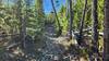 Typical trail conditions on Pole Canyon Trail - steep, loose and rocky.