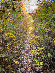 This section can get wet and overgrown.
