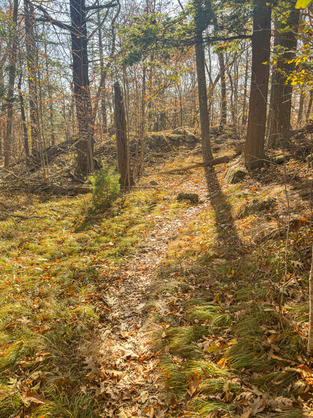 One of the short steep hills in the area.