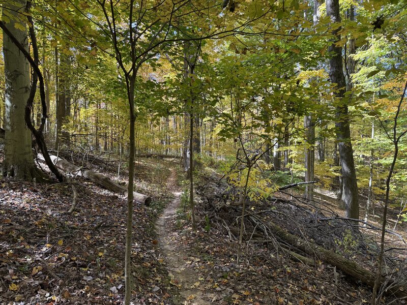 Trail in mid October.