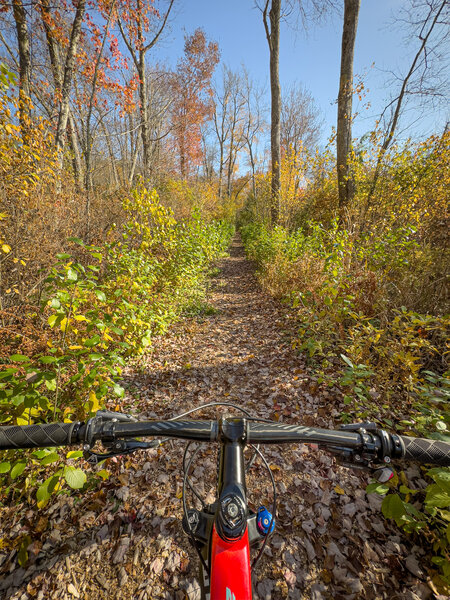 Can get tight if walkers or runners are on the trail at the same time.