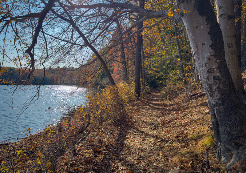 Riding along the edge of Round Pond.