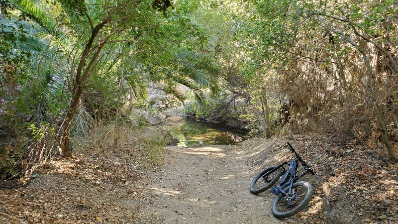 This is a mountain spring that flows year round. It's deep on the Cucamonga Trail, and you have to mash hard to get to this elevation. It's always shady and a welcome rest stop!