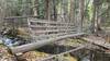 A basic footbridge across Crow Creek.