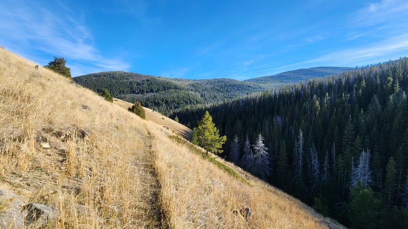 Near the very top of Crow Creek Trail it traverses across a steep grassy hillside.