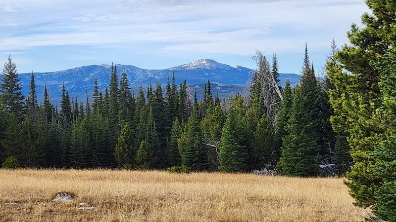 View of Elkhorn and Crow Peaks from the Moose Creek Trail.