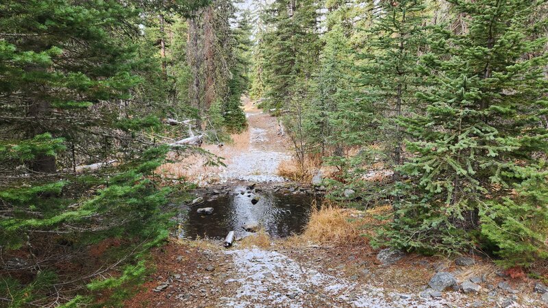 Parts of Moose Creek Trail are more like doubletrack, and there are some small creek crossings.