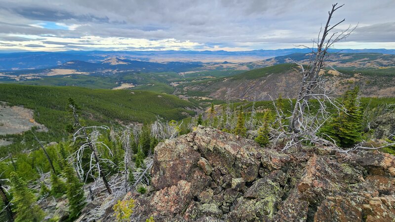 View from the highpoint of Montgomery Park Trail.