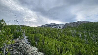 The summit of Casey Peak from Montgomery Park Trail.