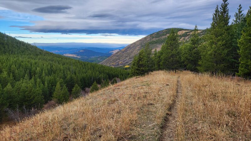 View looking northwest back down the valley from Casey Meadows Trail.