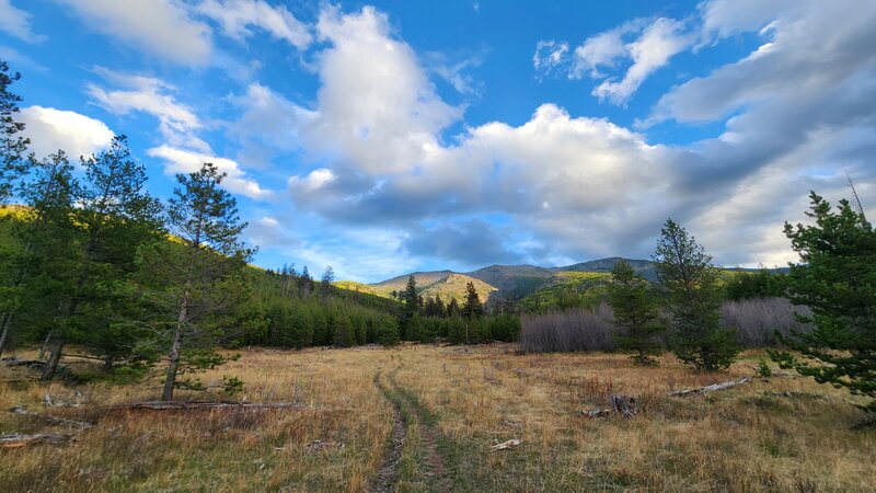 Looking uphill towards the Elkhorn Mountain Range on the Mclellan Creek Trail.