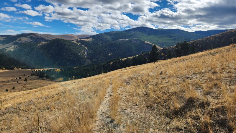 After leaving the inital doubletrack, the trail zigzags down this grassy slope and it a little hard to follow. You are aiming for that flatter spot at the edge of the trees to the left.