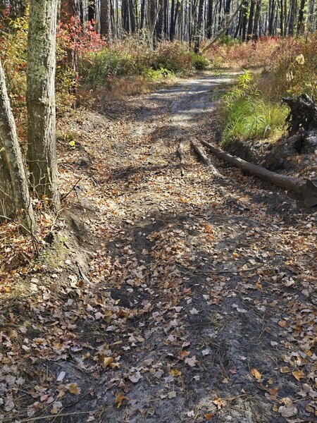 Looking South at Big Bridge Ford