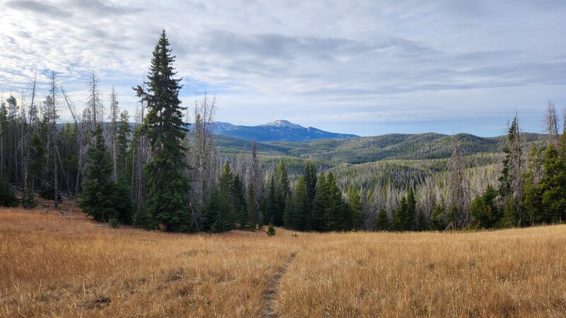 Looking down Elk Park Trail towards Crow and Elkhorns Peaks.