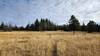 There are wooden posts to guide your way through the Elk Park Meadows.