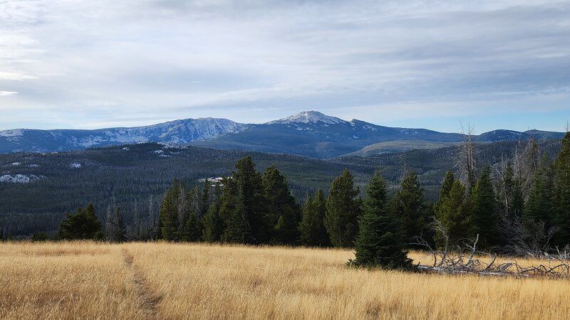 Great views of Crow and Elkhorn Peaks on the Elk Park Trail.