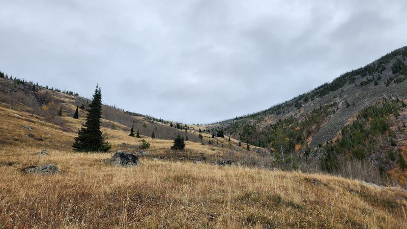 Looking uphill on the Upper Casey Meadows Trail. Where is the trail again?