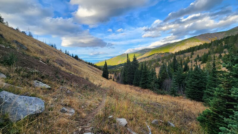 Looking down valley from the upper part of McClellan Creek Trail.