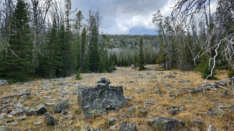 Small piles of rocks can help you navigate through the meadows of the North section of the Elk Park Trail.