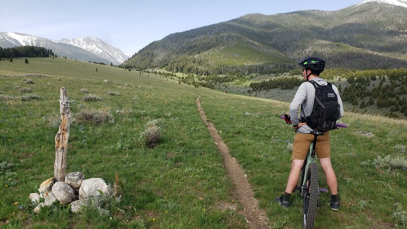 After climbing up many switchbacks, a mountain bike rider takes a moment to soak up the scenery on Trail #303.