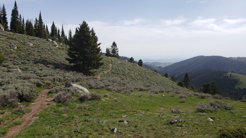 The start of the "traverse" section of Trail #303 begins with climb.