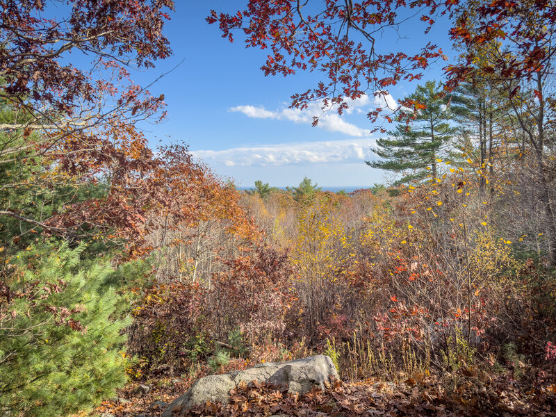 Overlook, towards Gloucester Harbor.