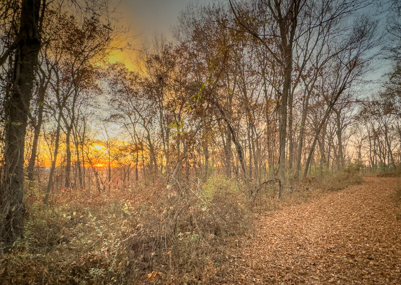 Sunset from the top of Vineyard Hill.