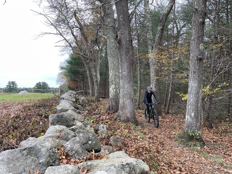 Climbing to the top of Pigeon Hill.