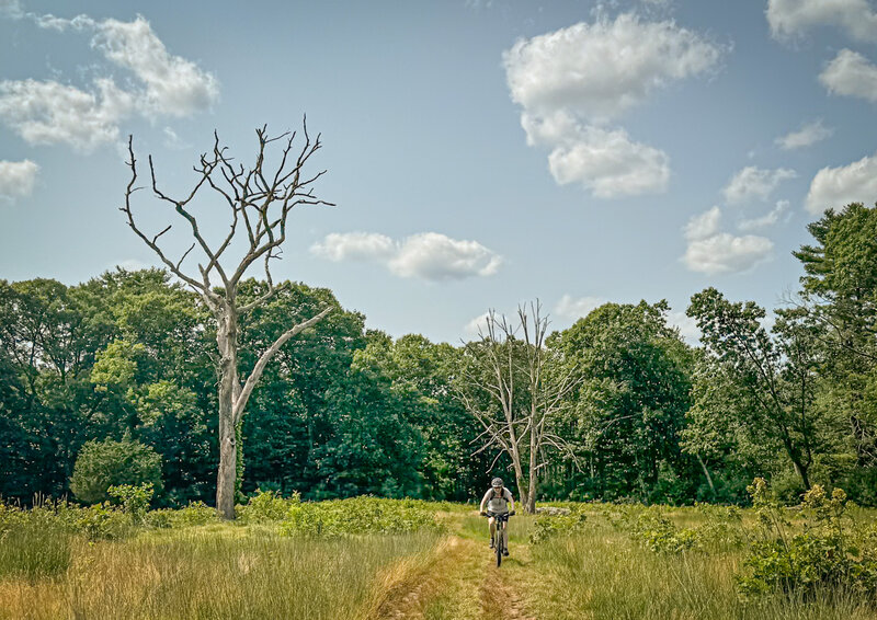 Wide open fields or wide trails through the trees.