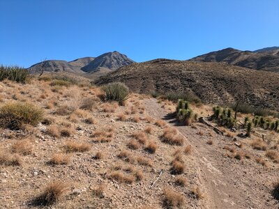 Singletrack climb