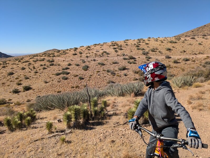 Looking back west and down the hill, see Quick Draw DH in the background above the Time Warp climb trail.