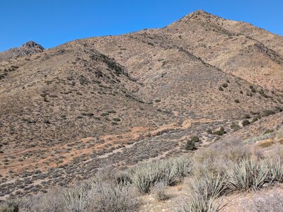 View of the western Revenant Trails from the top of Time Warp.