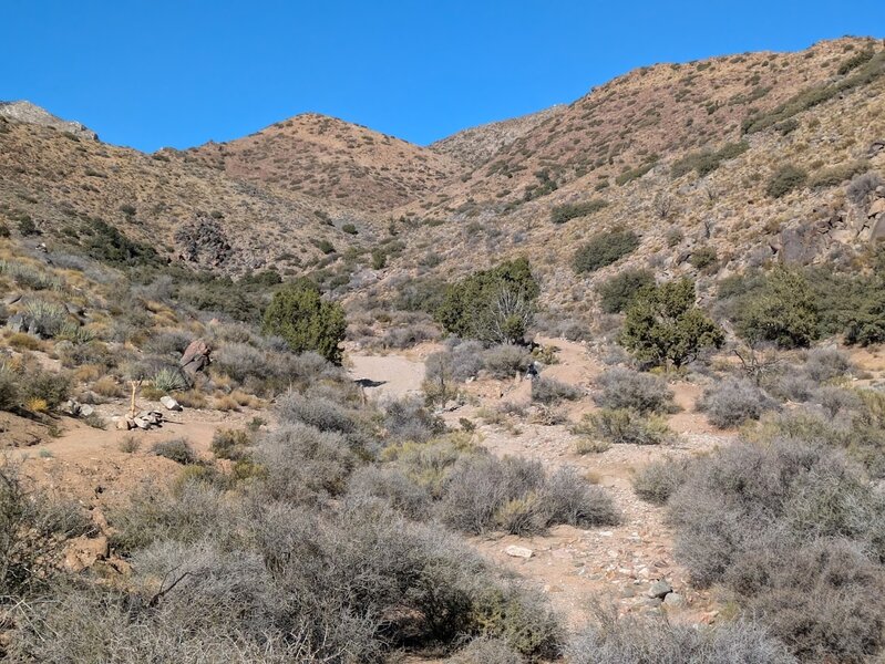 Looking up canyon.