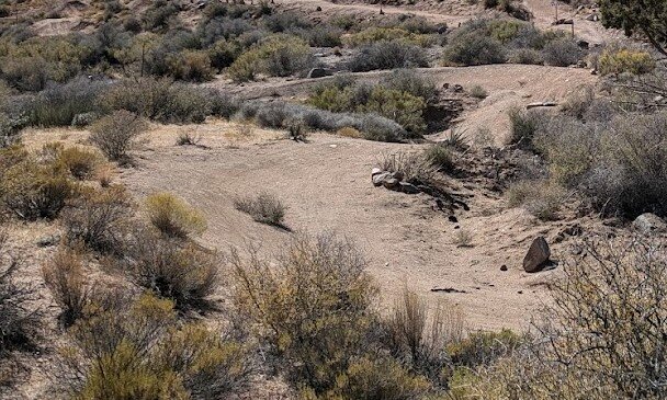 wide sandy berms