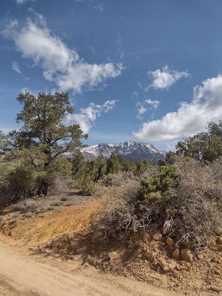 Dirt road an view of pine mountain.