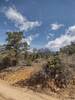 dirt road an view of pine mountain