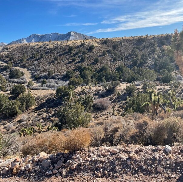 View to the south and the wash.