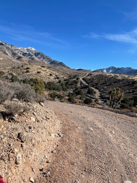 View along the foothills of the West Mountains