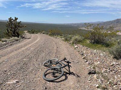 No bike racks available.
