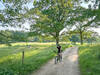 Riding through The Great Pasture, this portion is also part of the Bay Circuit Trail.