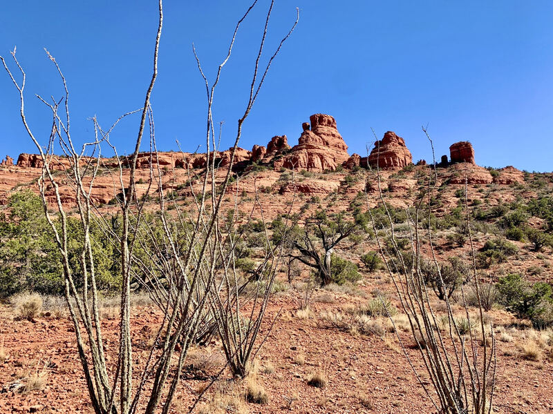 Ocotillo cacti and Cockscomb rock seen from Outer Limits