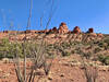 Ocotillo cacti and Cockscomb rock seen from Outer Limits