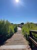 The bridge at the Snake Hollow Access Trail